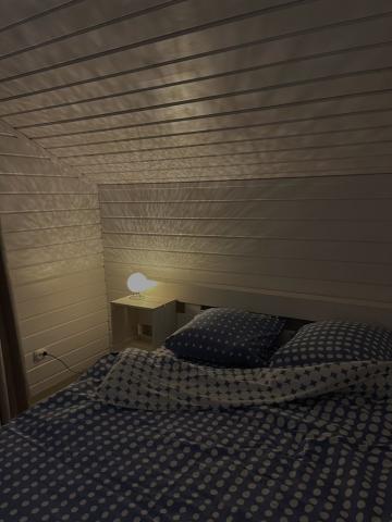 София фото 3